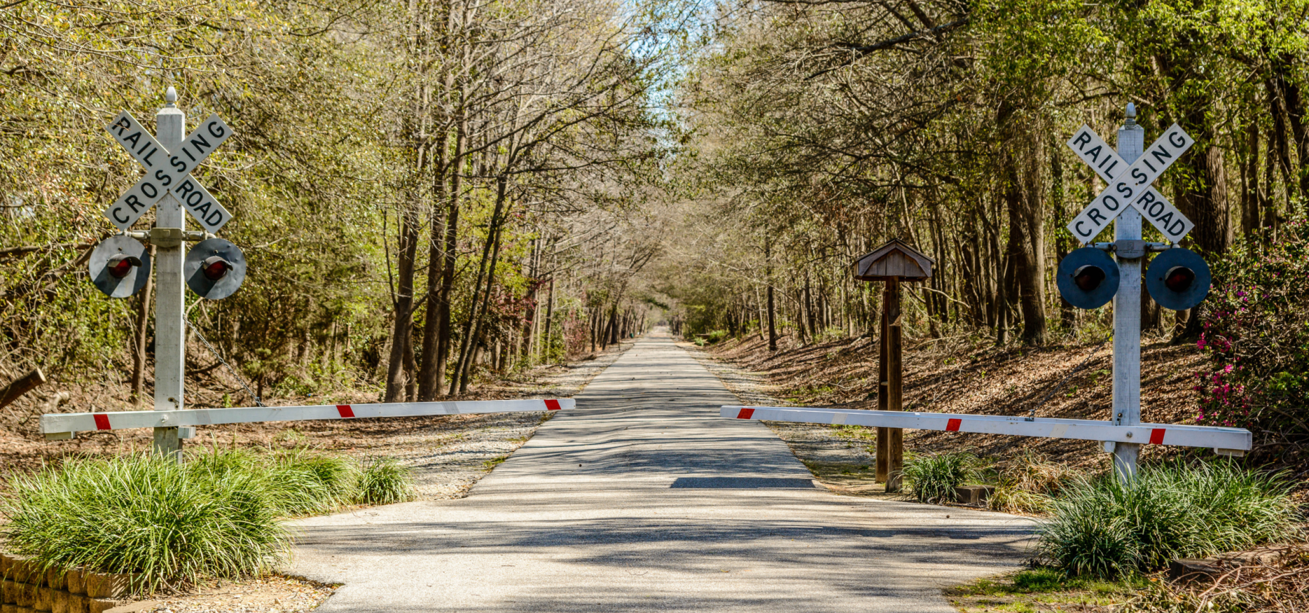 Rail Trail