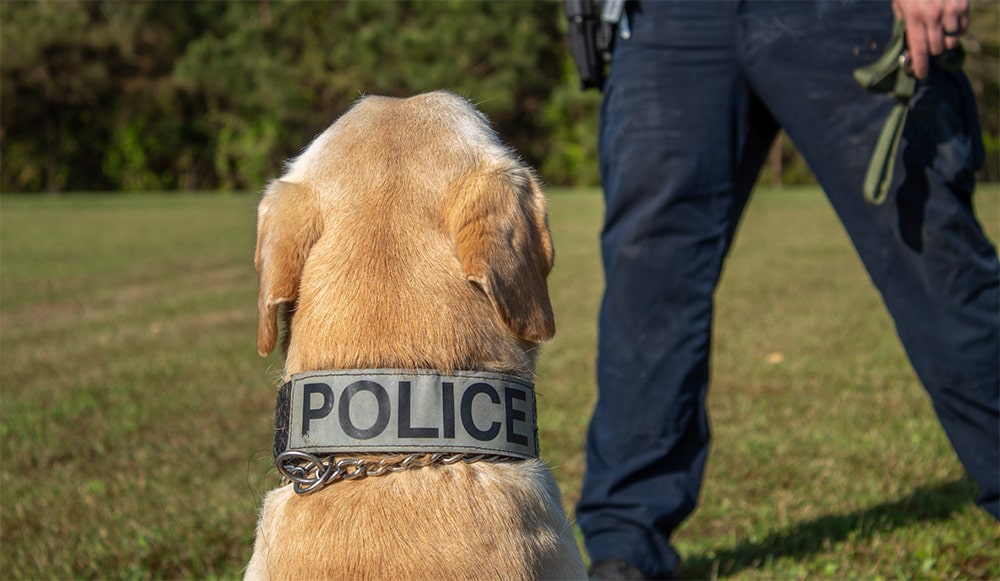 Police Dog